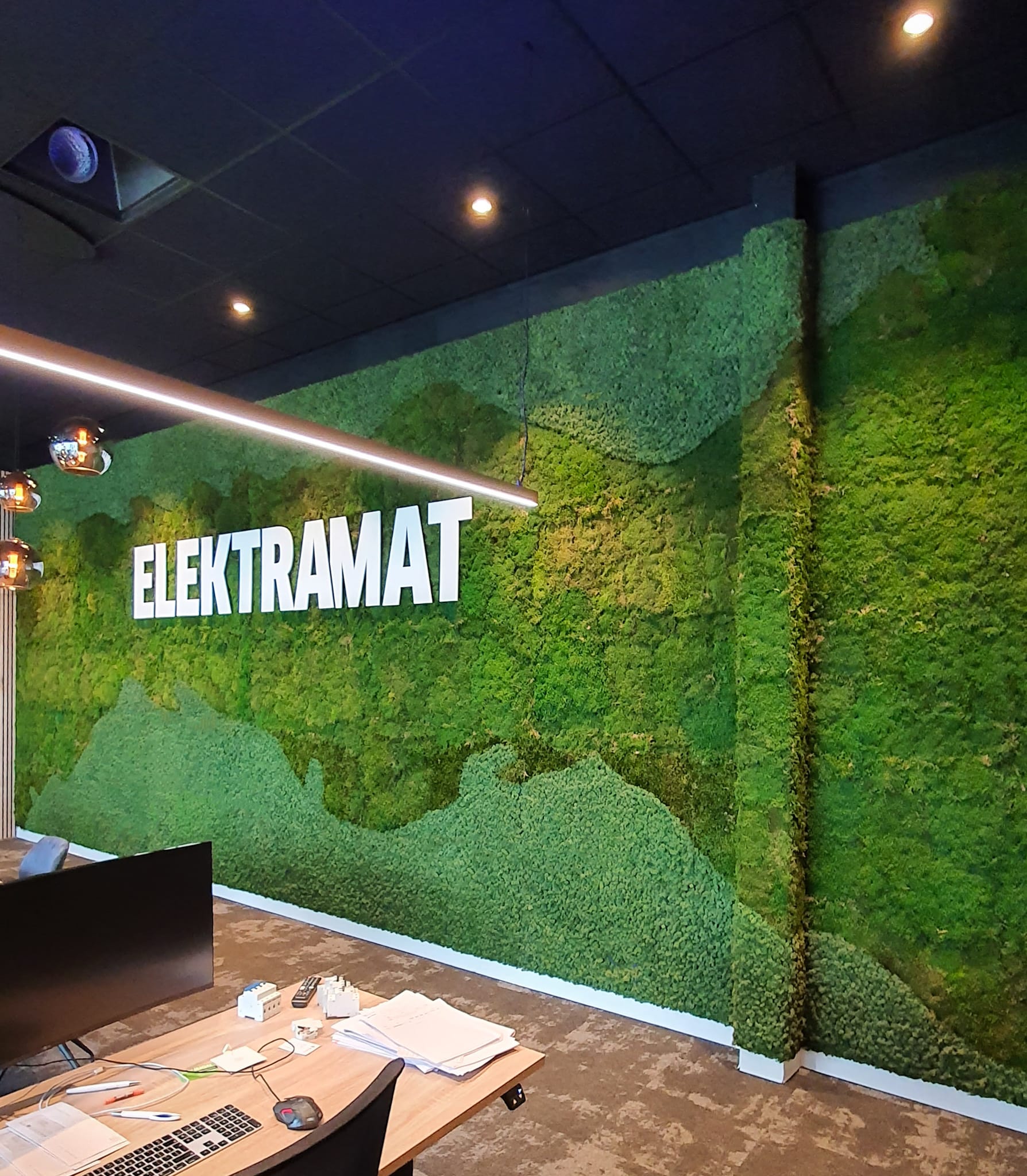 Moswand - Elektramat
