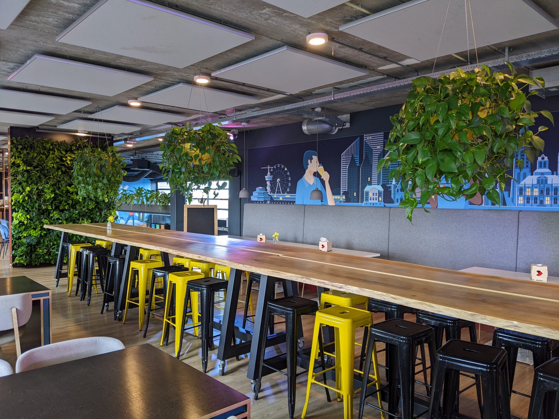 Hangende planten - kantine