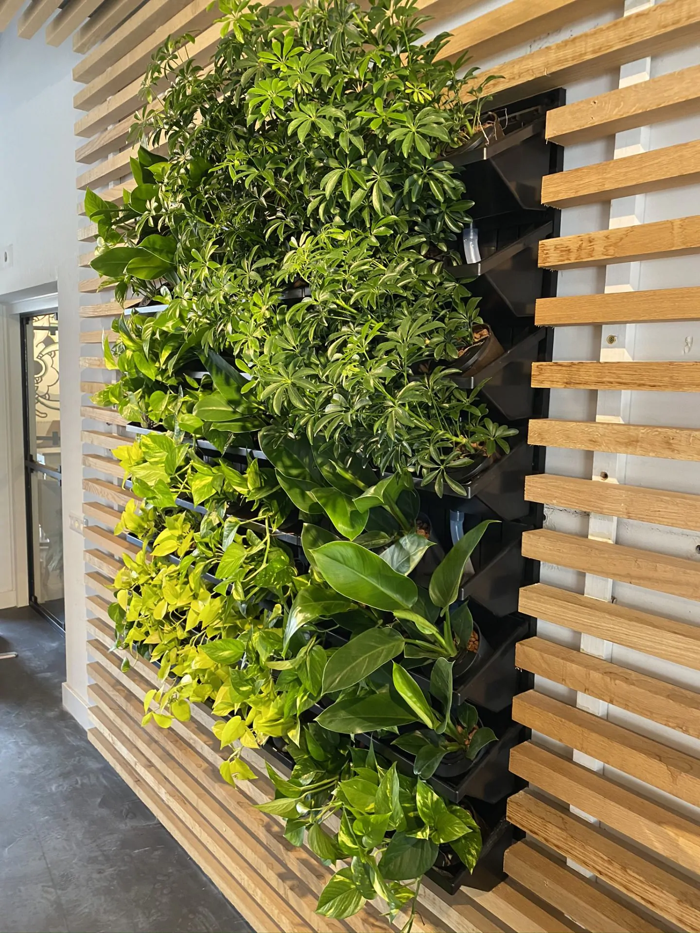 Plantenwand binnen