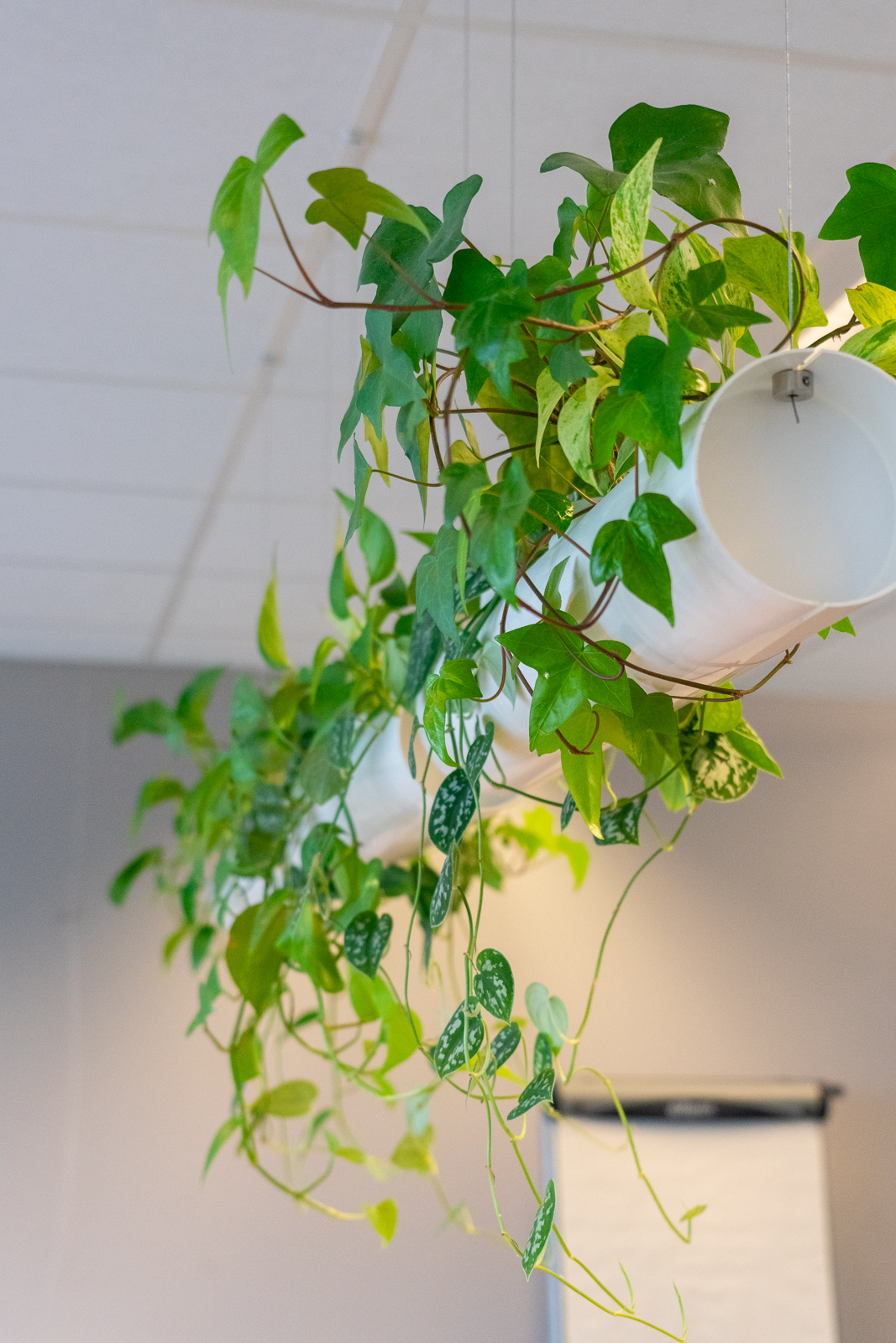 Hanging Garden - Vechtstromen Hengelo