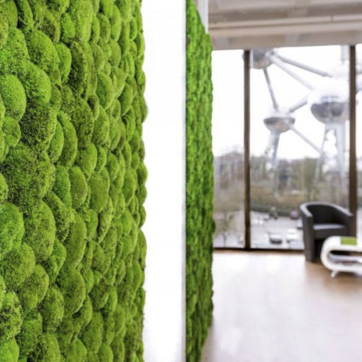 Structuur moswanden kantoor