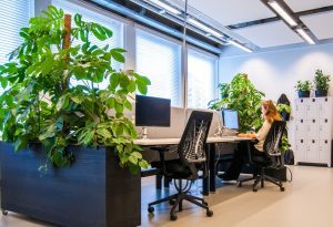 Krachtcel ontwikkeling gelijktijdig De mooiste kantoorafscheidingen van planten - Planting Power