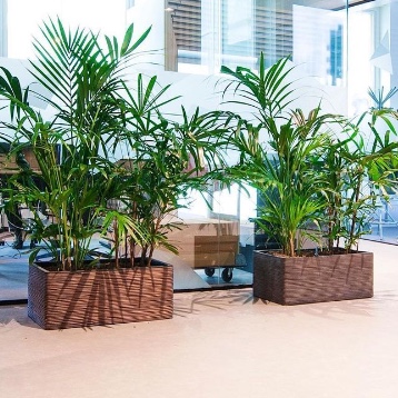 Beplantings-plan