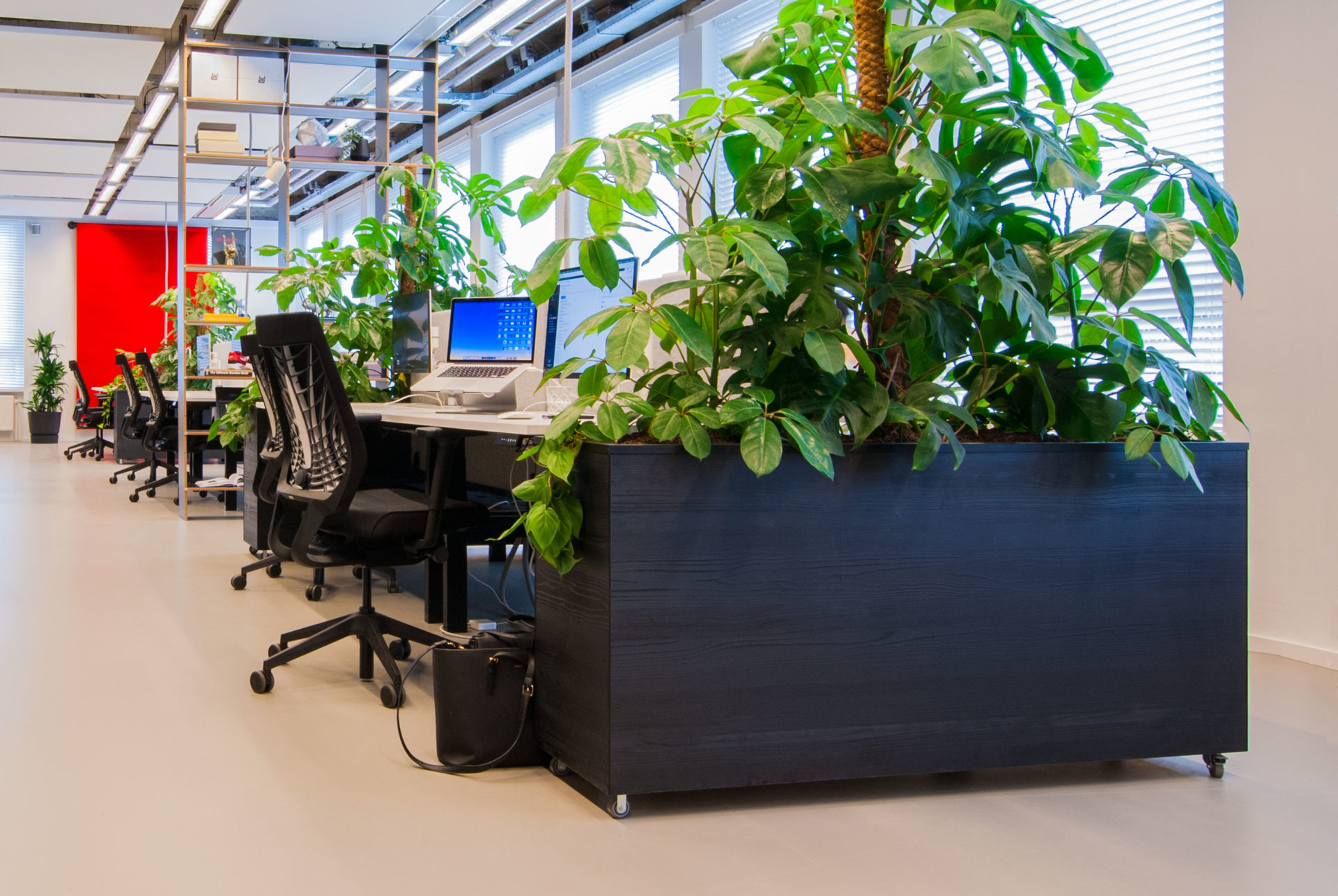 Interieurbeplanting Sony