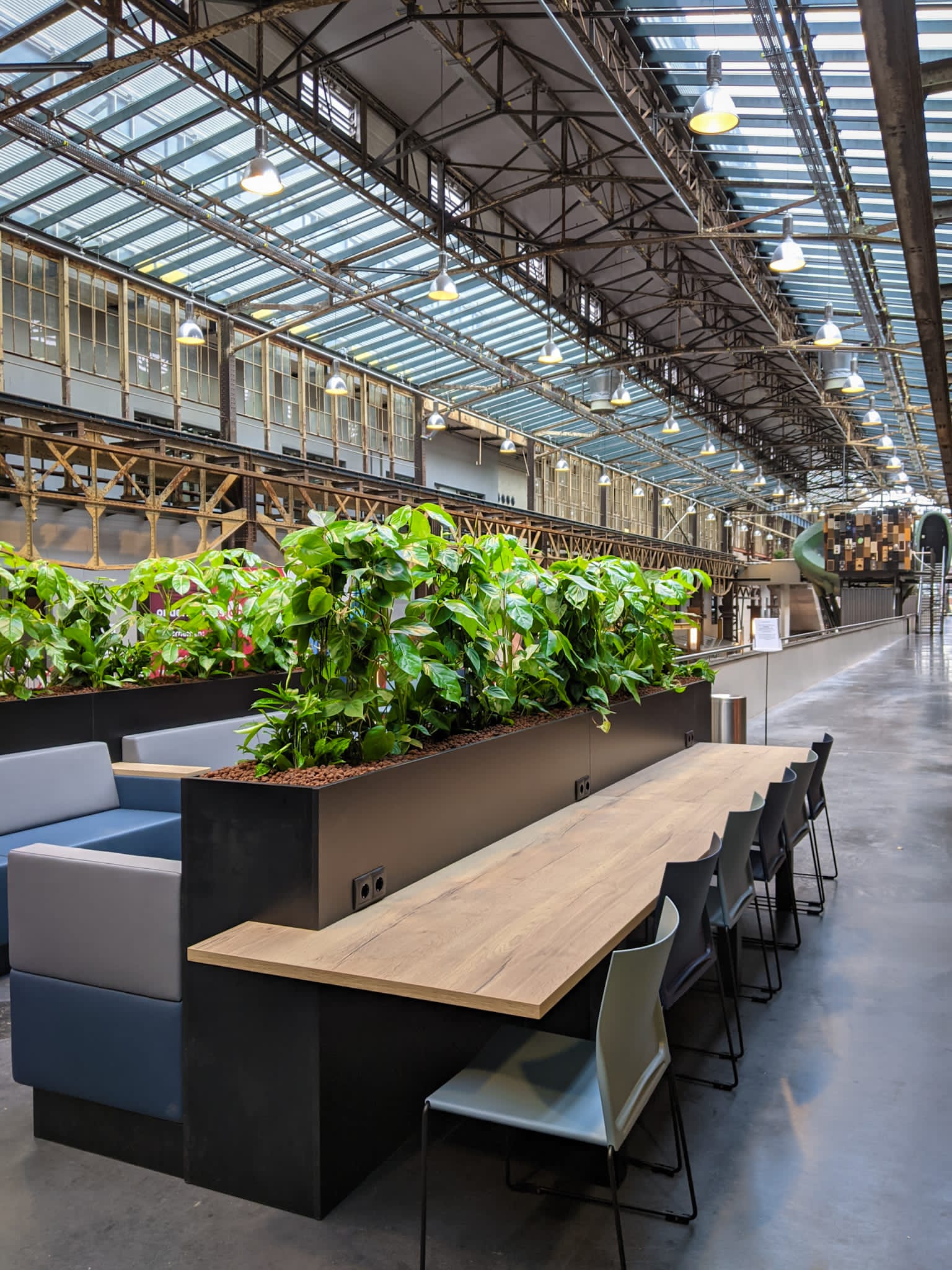 Interieurbeplanting in het ROC van Hengelo