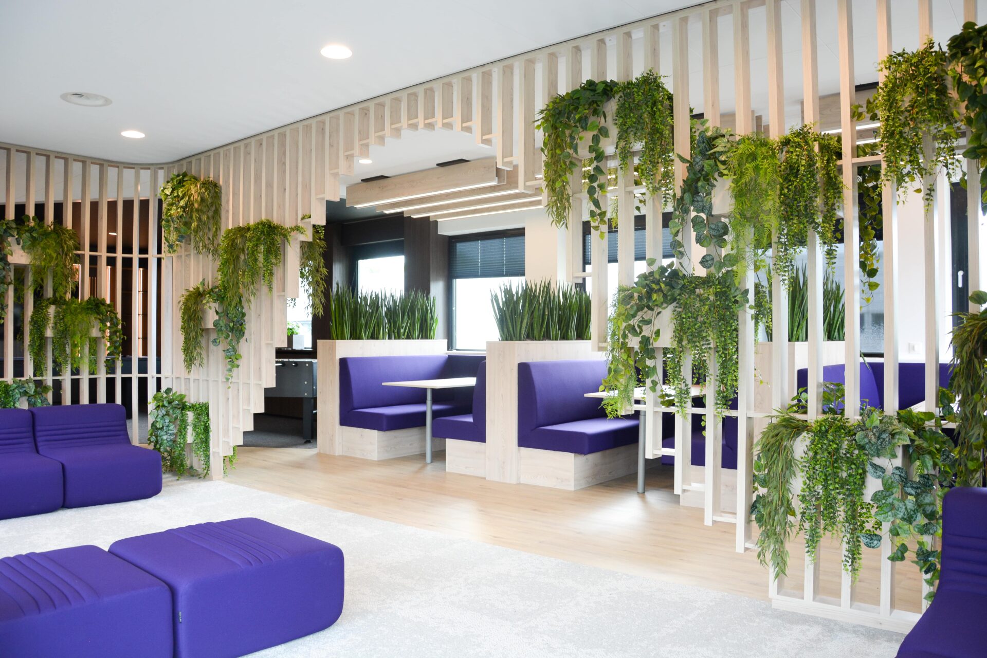 Hangplanten bij ACTRONICS