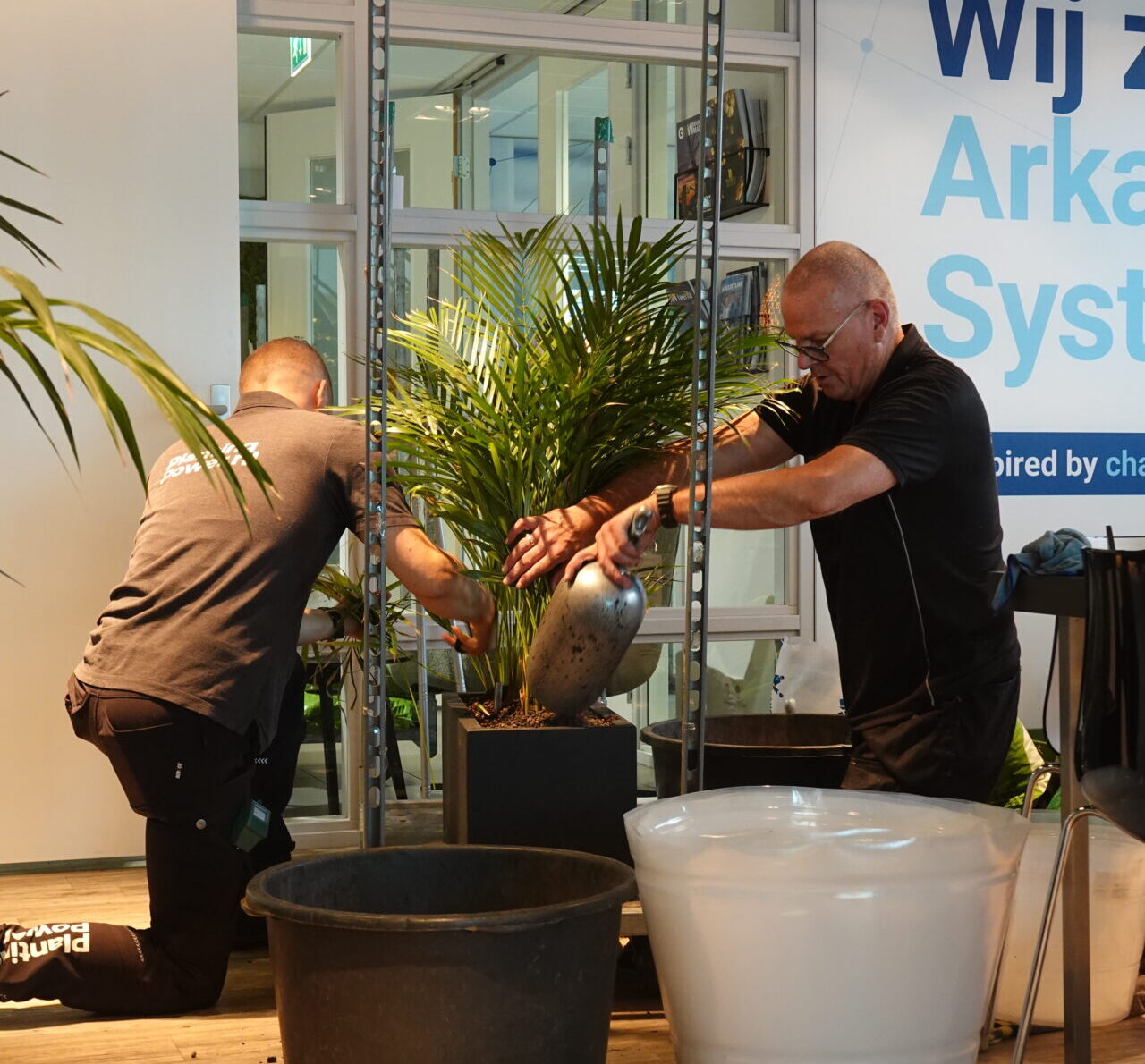 Hergebruikte beplanting