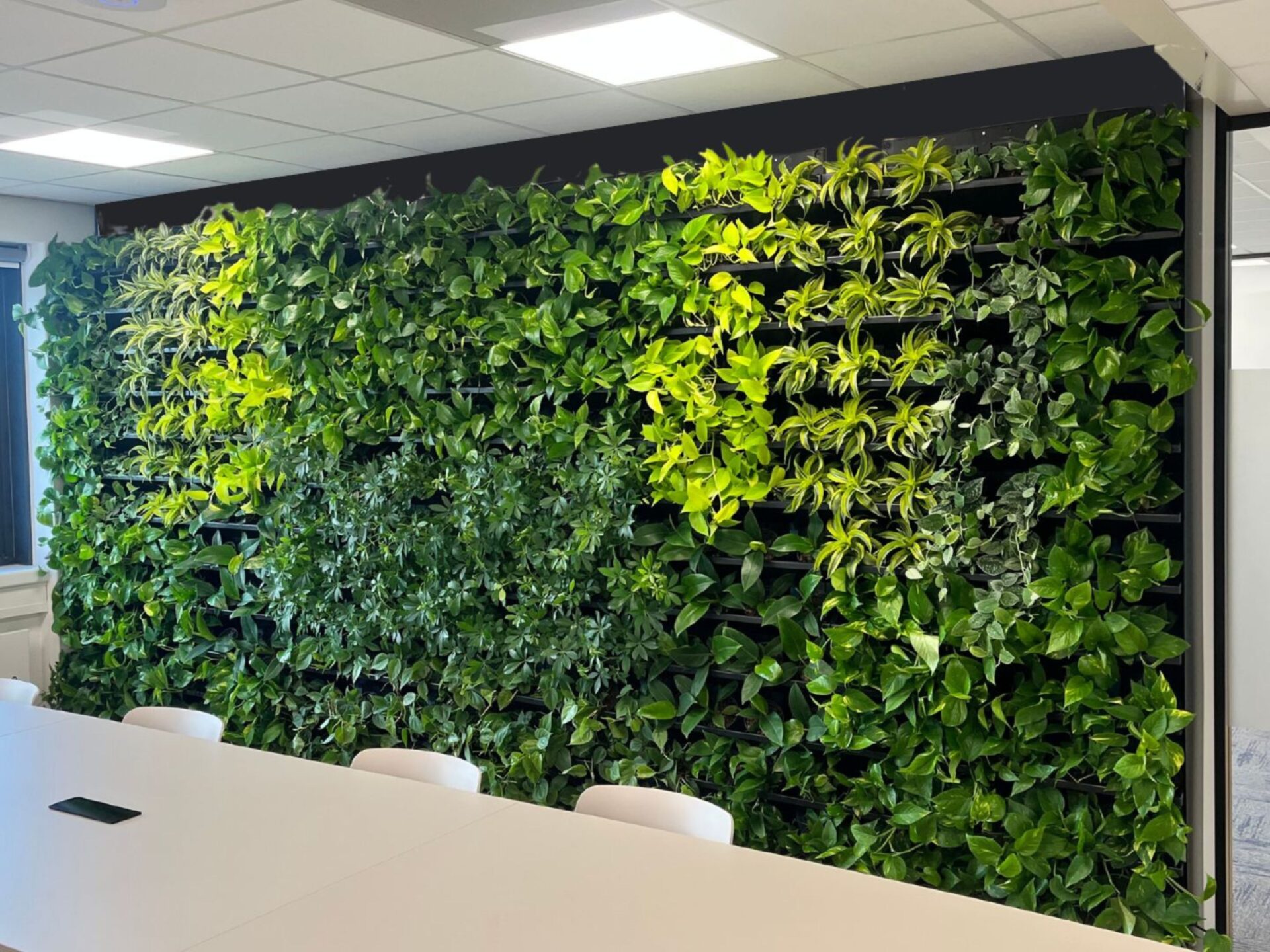 Interieurbeplanting in kleine ruimtes: Slimme oplossingen