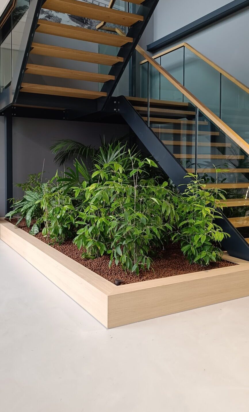 Binnentuin onder trap