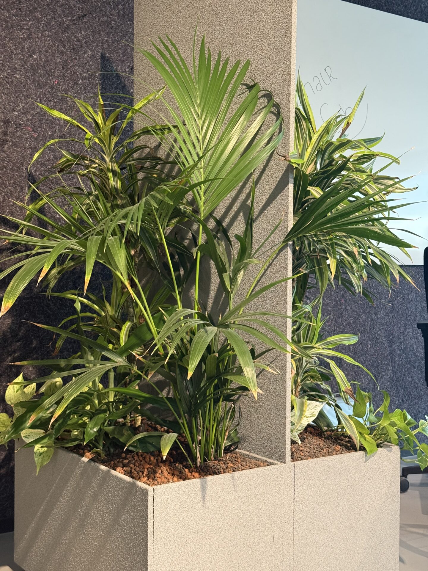 Capelle aan den IJsel interieurbeplanting