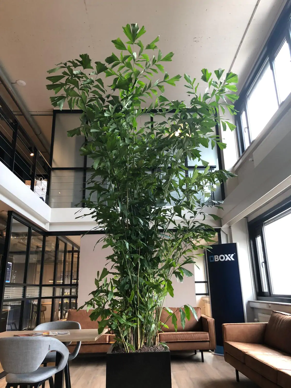 Gouda interieurbeplanting