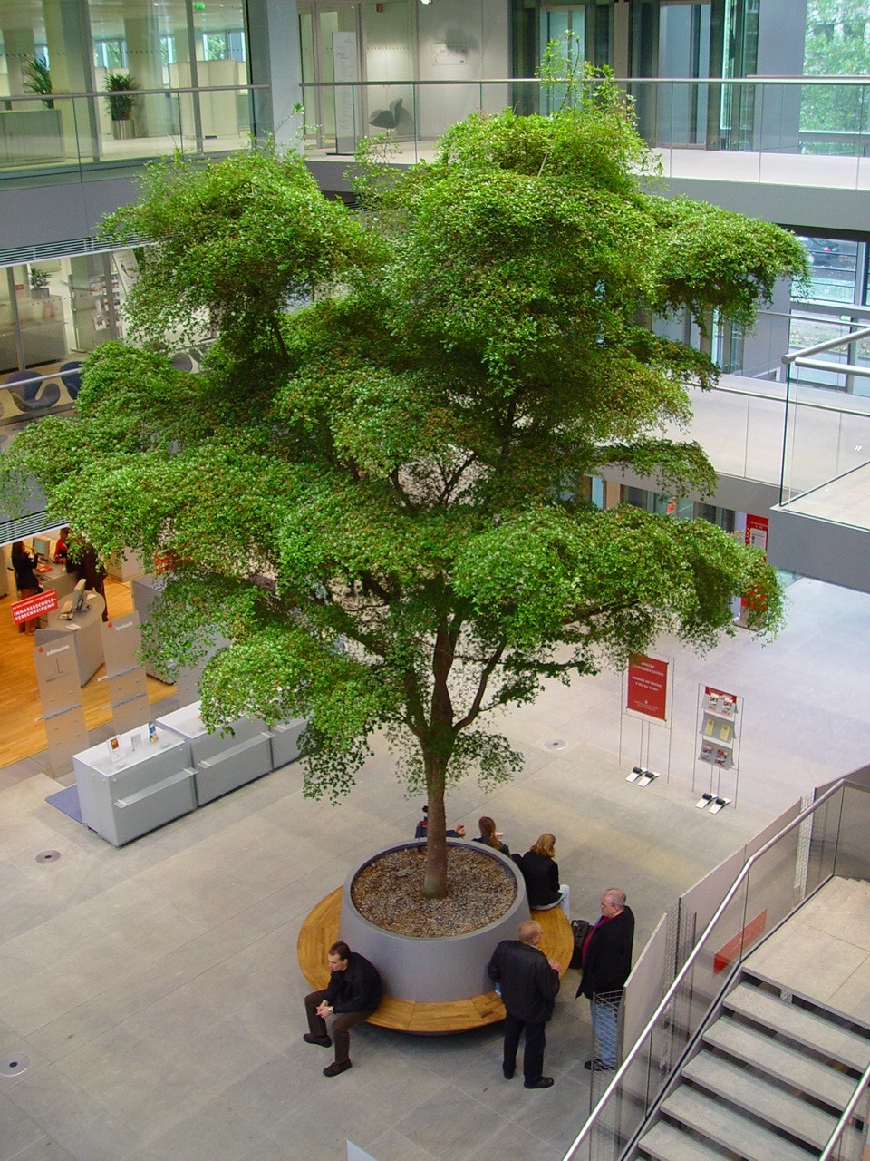 Hengelo interieurbeplanting