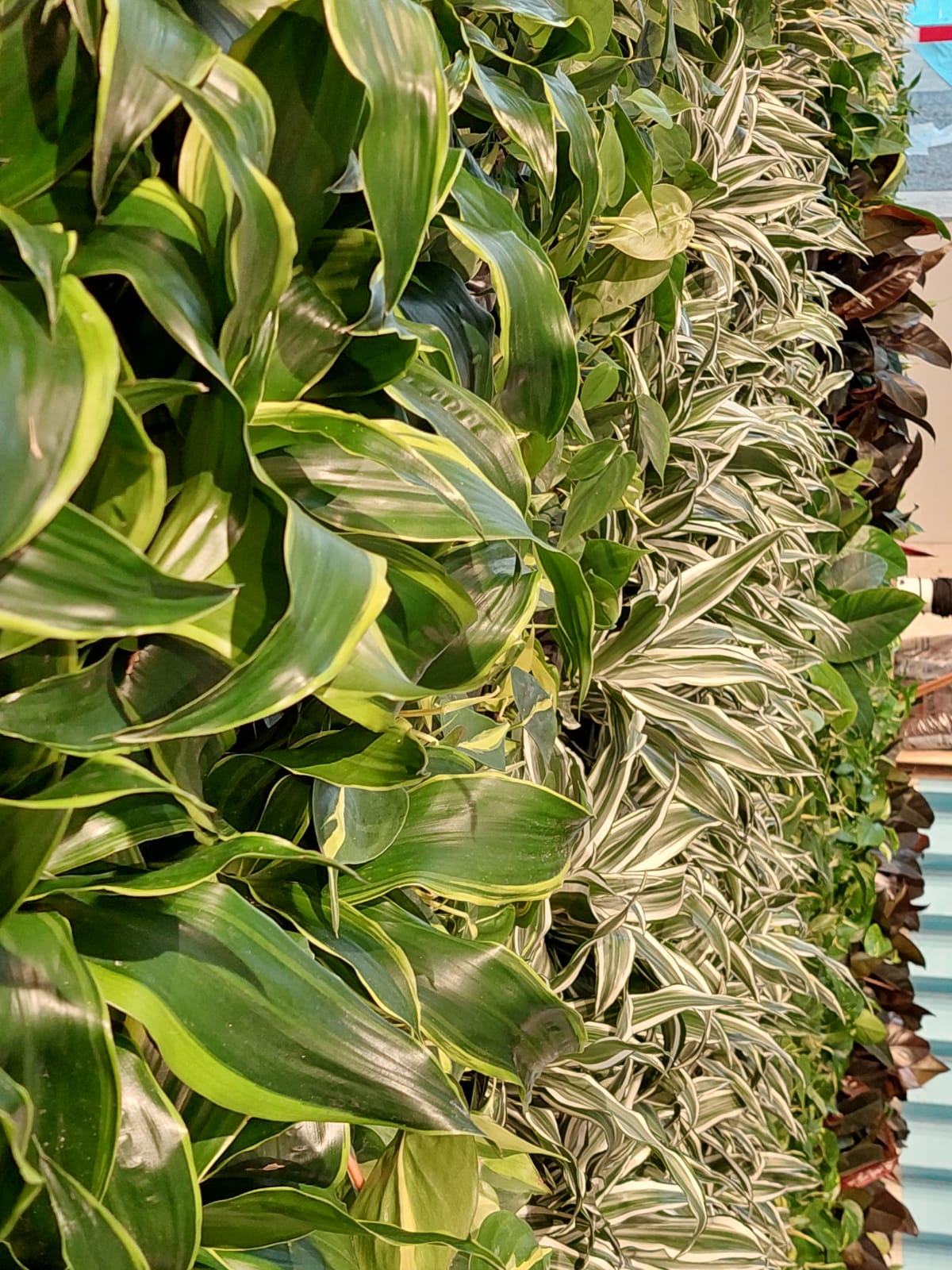 Interieurbeplanting Barendrecht