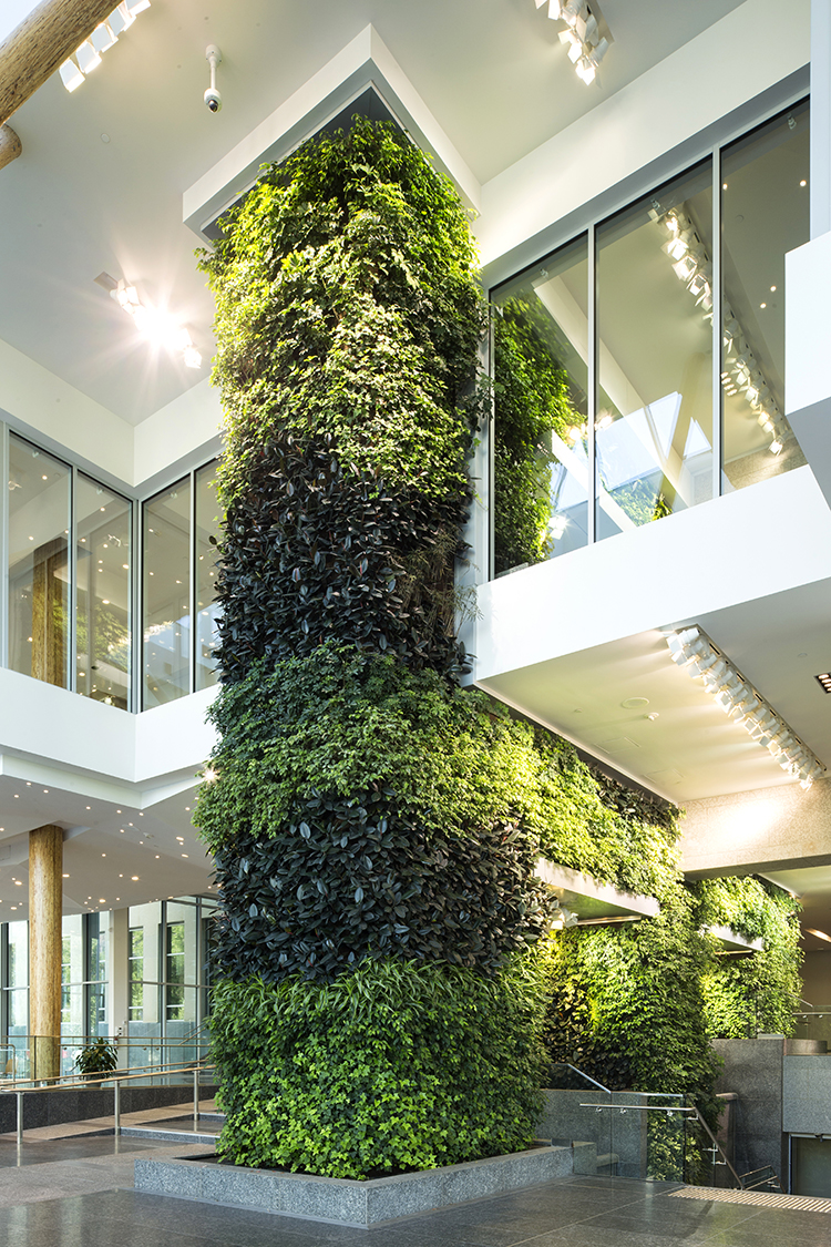 Interieurbeplanting Ede uitbesteden