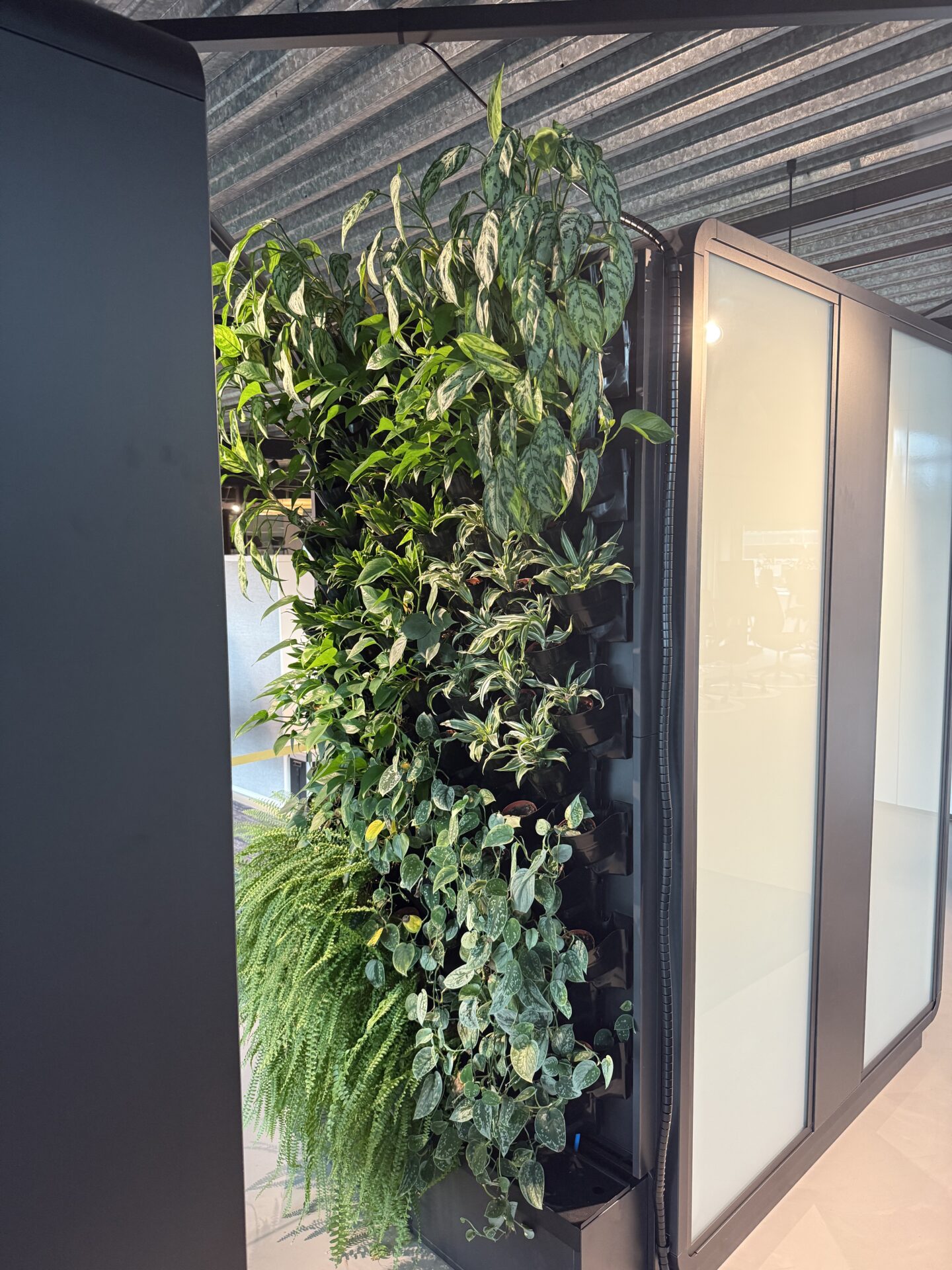 Interieurbeplanting Haarlemmermeer