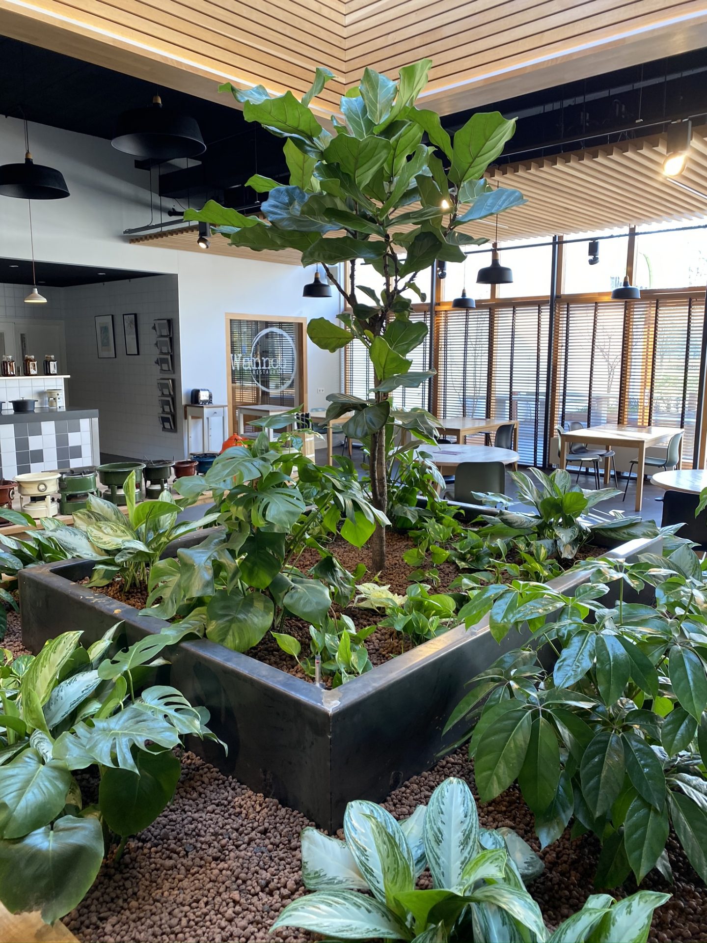 Interieurbeplanting Hengelo uitbesteden