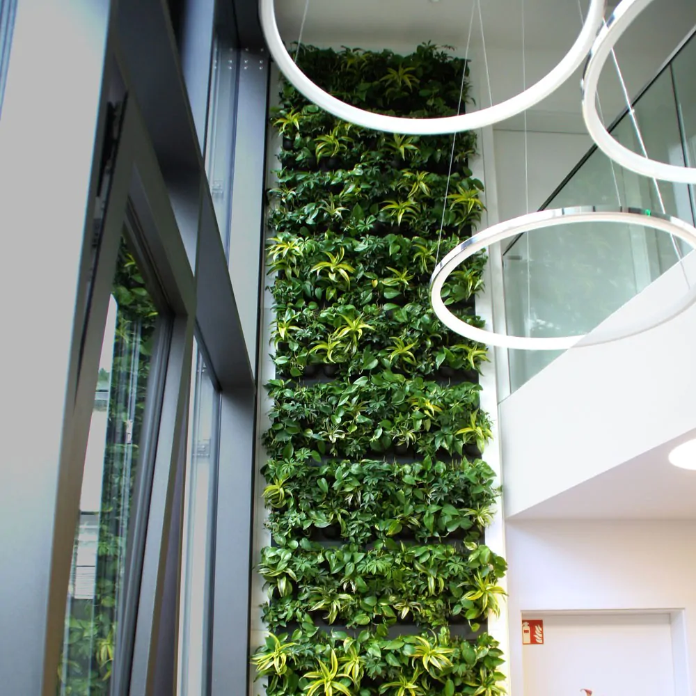 Interieurbeplanting Rijswijk