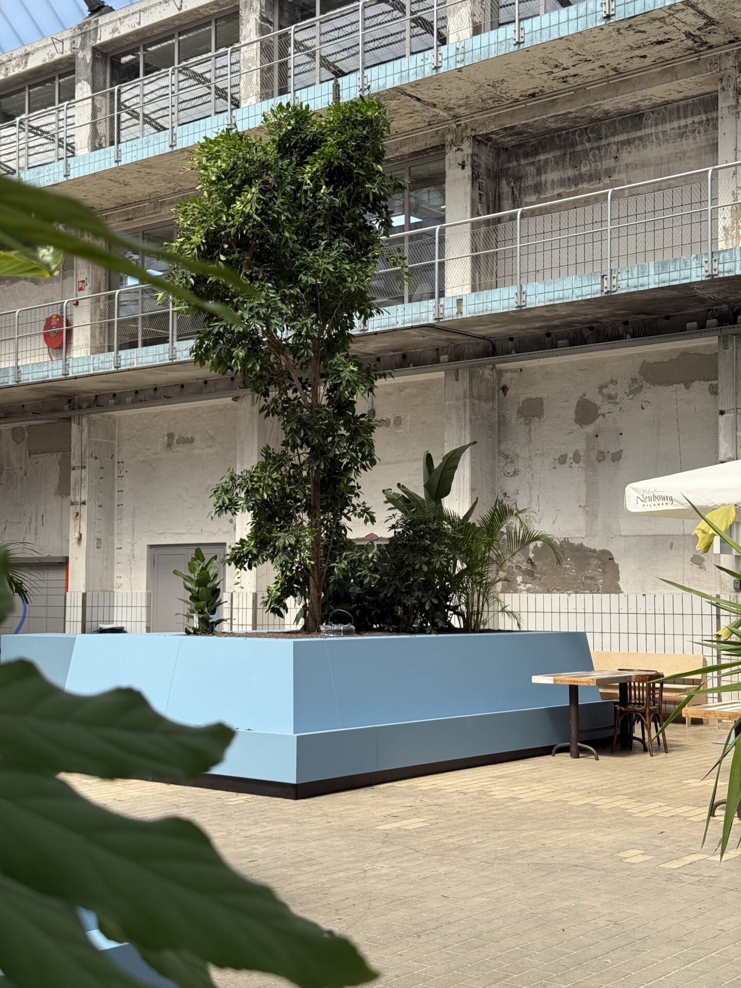 Interieurbeplanting Zaanstad uitbesteden