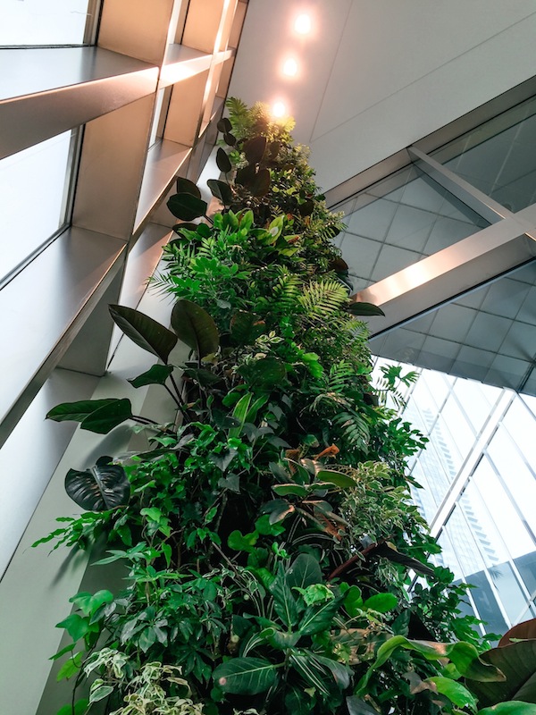 Interieurplanting Veldhoven