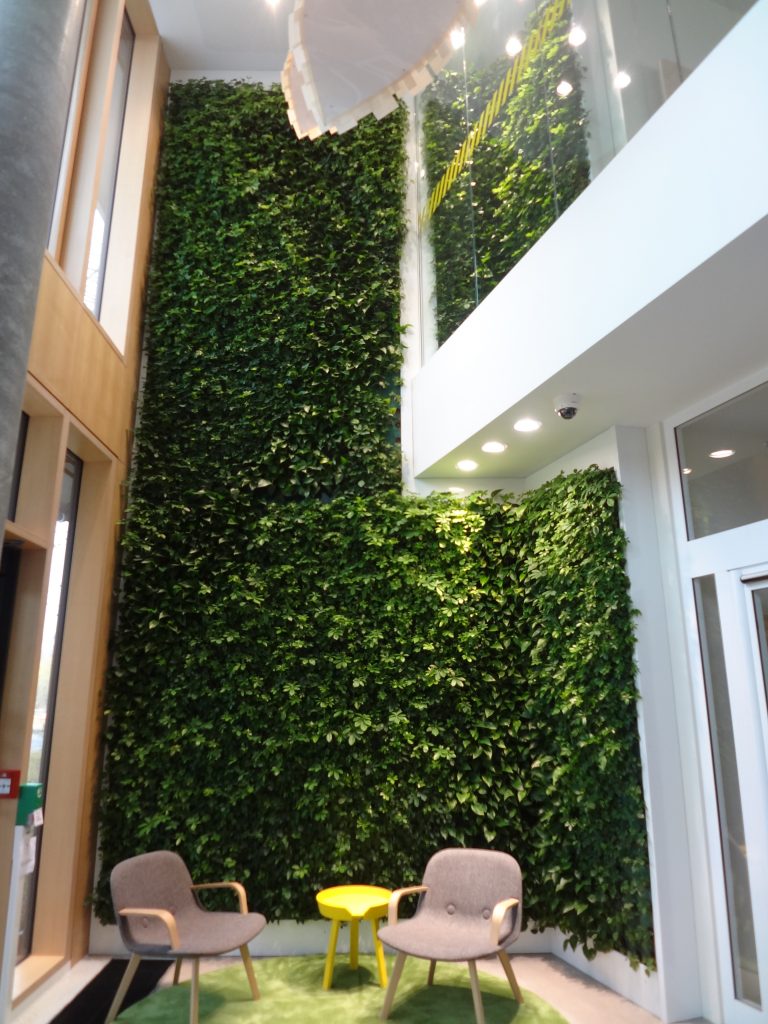 Intrerieurbeplanting Veghel